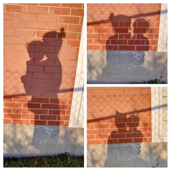 Meet your Posher, Victoria - Picture 4 of 9